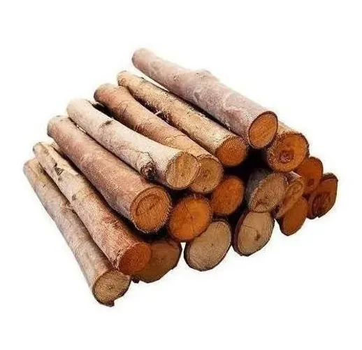 Lenha de Eucalipto para Forno, Churrasqueira e Lareira