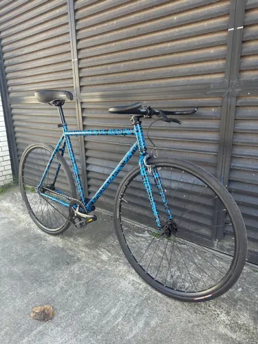 Bicicleta Fixa/Single Speed