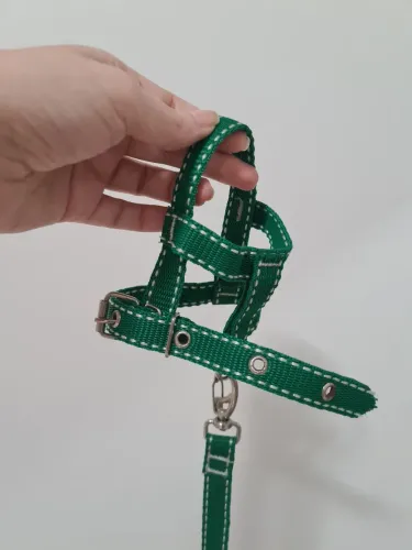 Vende-se coleira e guia para seu pet