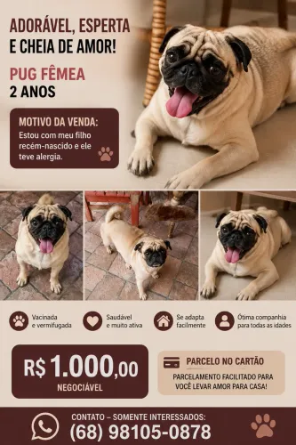 PUG FÊMEA
