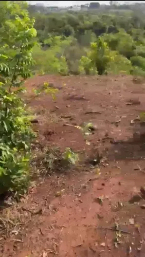 Chacara de 2,42 hectares de terra na Zona Rural de Abadiania