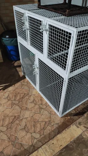 Conjunto duplo e triplo de canil de espera banho e tosa