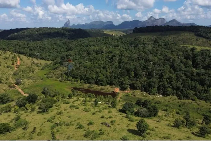 Fazenda Nova Jerusalém