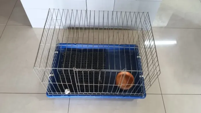 Gaiola para porquinhos da índia