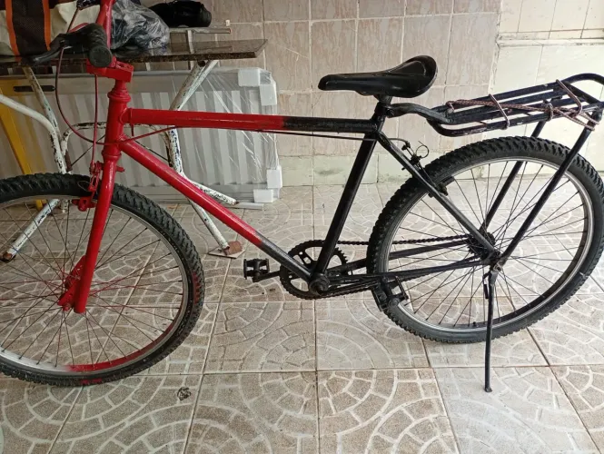 Bicicleta passeio