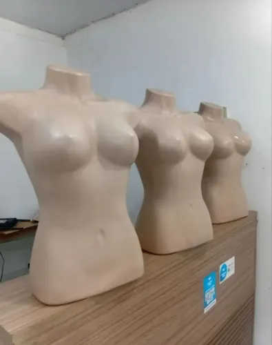 Busto R$ 20,00 cada