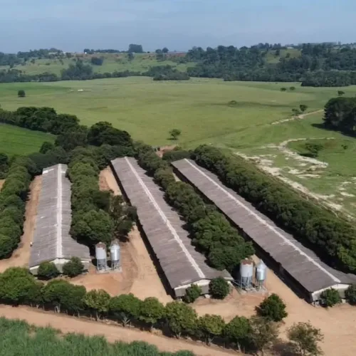 *EXCELENTE SÍTIO COM GRANJA A VENDA EM TATUÍ - SP* ?? Aptidão: Granja de Frango e Gado de 