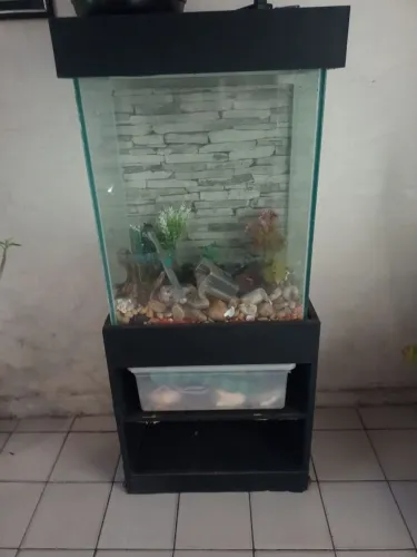 Aquário Completo 