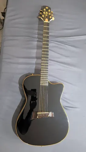 Violão Fox Fishman System1