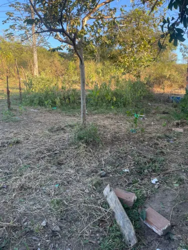 Vendo terreno na estrada principal da manteiga , socorro