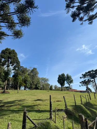 Terreno na Serra