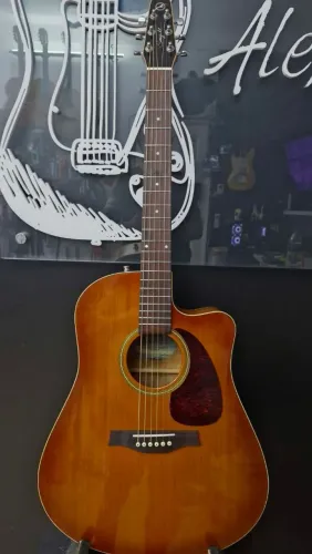 Godin Seagul Entourage Rustic CW GT QI