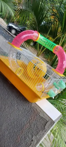 Gaiola para hamster com túnel,rodinha e bebedouro.