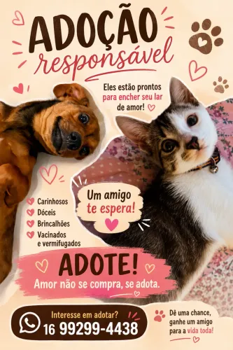 Doa-se gatinho e cachorro