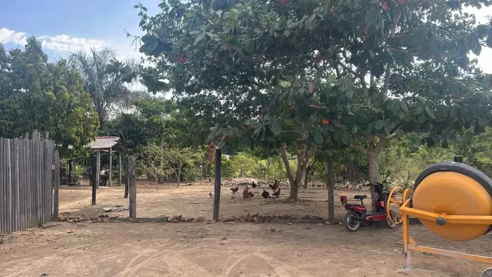 Chácara completa com 17.550m, produtiva e pronta para morar!