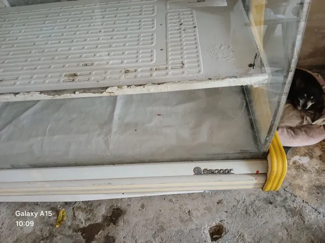 Balcão expositor para carnes e laticínios
