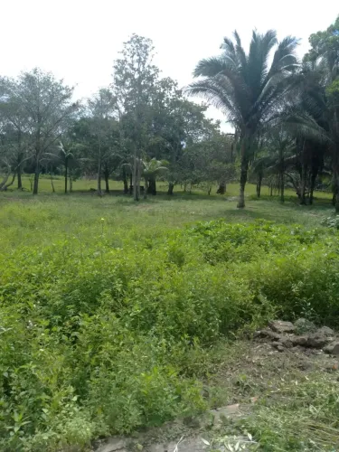 Imóvel para venda tem 100 metros quadrados em Igaraú - São Luís - MA