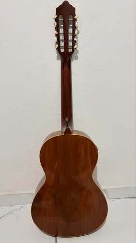 Viola caipira 