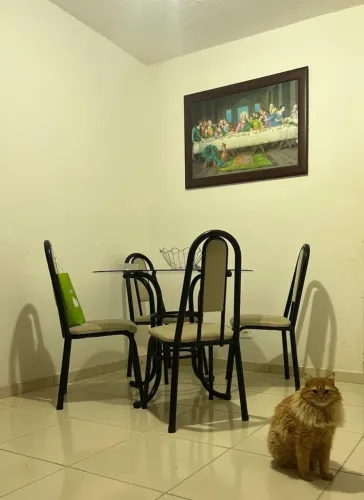 Mesa jantar vidro 4 cadeiras