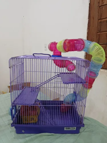 Gaiola hamster