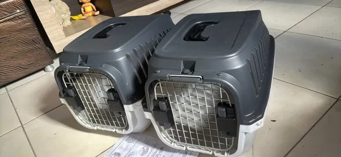 Caixa de pet