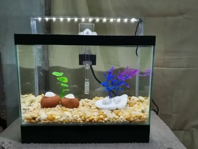 Aquário Novo e Completo 