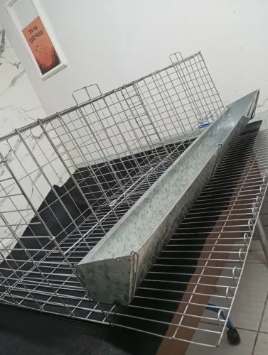 500 Gaiolas para Galinha de Postura