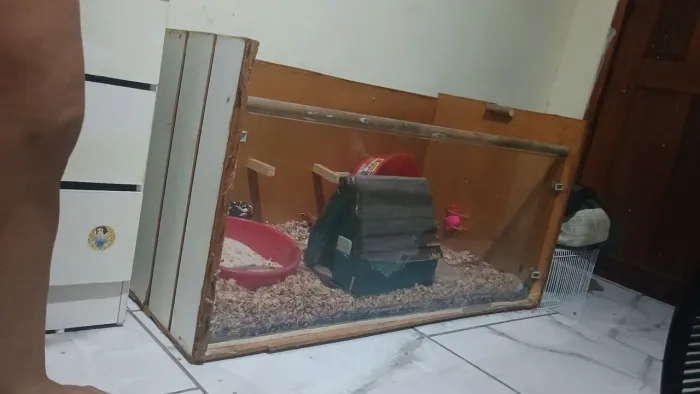 Terrário para roedores/répteis 100x50 (1metro X 50 cm)