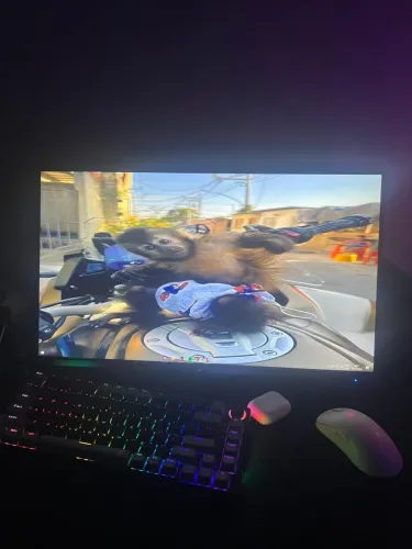 Monitor Gamer