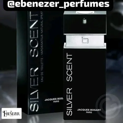 Perfume Silver Scent