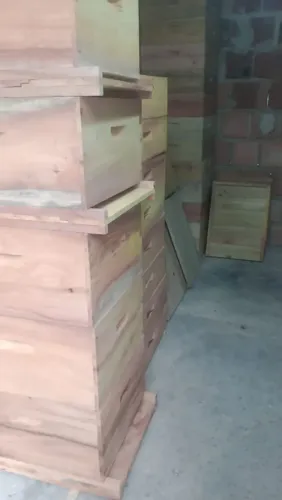 Apicultura 