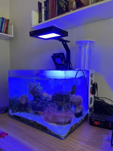 Vendo Luminária Forfish Reefpro G1 - Estado de Nova