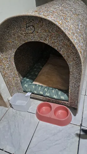 Casinha de cachorro