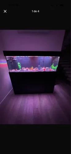 Aquário 300 litros com móvel
