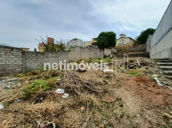 Venda Lote-Área-Terreno Santa Amélia Belo Horizonte