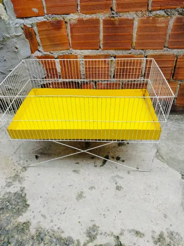 Gaiola para porquinho da índia