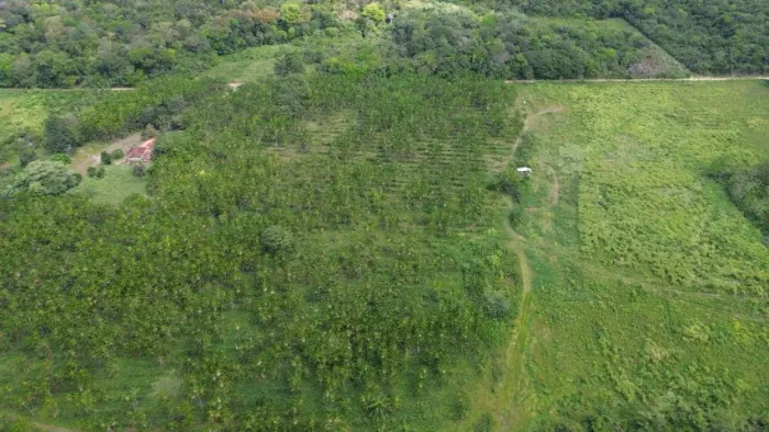 125 hectares fazendinha pronta há 28 km de Castanhal-Pa R$ 1.500.000,00