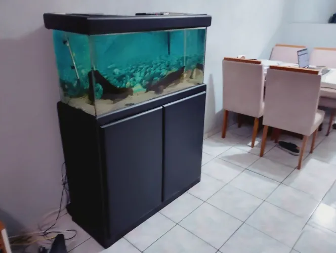 Aquário completo 200L