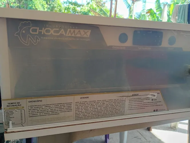 Chocadeira