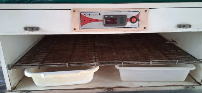 Chocadeira automática