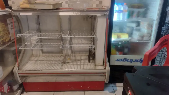Expositor gelado