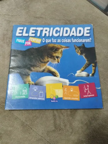 Livro eletricidade o que faz as coisas funcionarem 