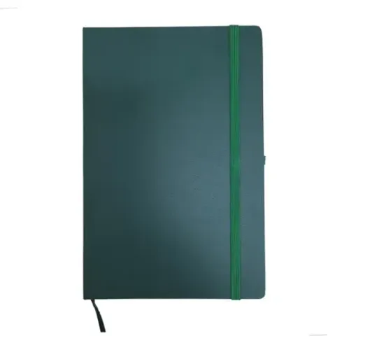 Caderno capa de couro sint. verde sem pauta - Moleskine