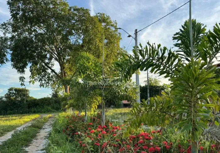 Terreno em Aracoiaba, frente Ce365