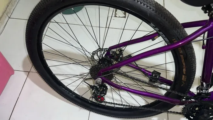 Bicicleta
