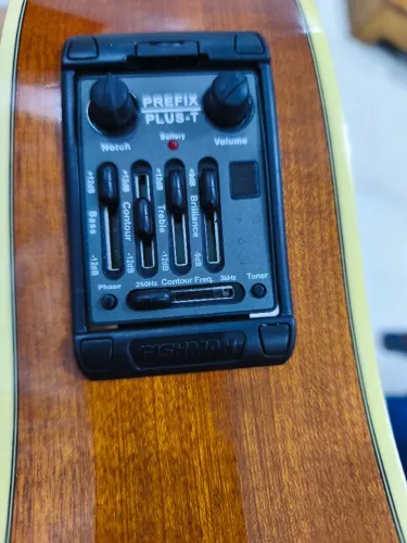 Violão Walden Maciço com Fishman Prefix Plus-T # Aceito Propostas