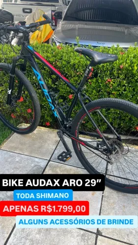 Bike Audax 29