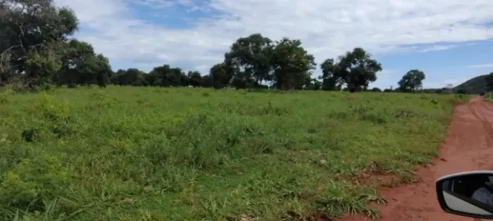 Fazenda à Venda em Montes Claros  GO | 121 Alqueires | Dupla Aptidão