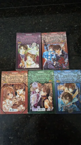 Box de livro mangá destino cativo