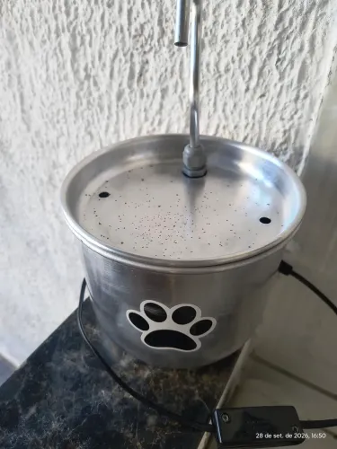 Bebedouro pra gatinho